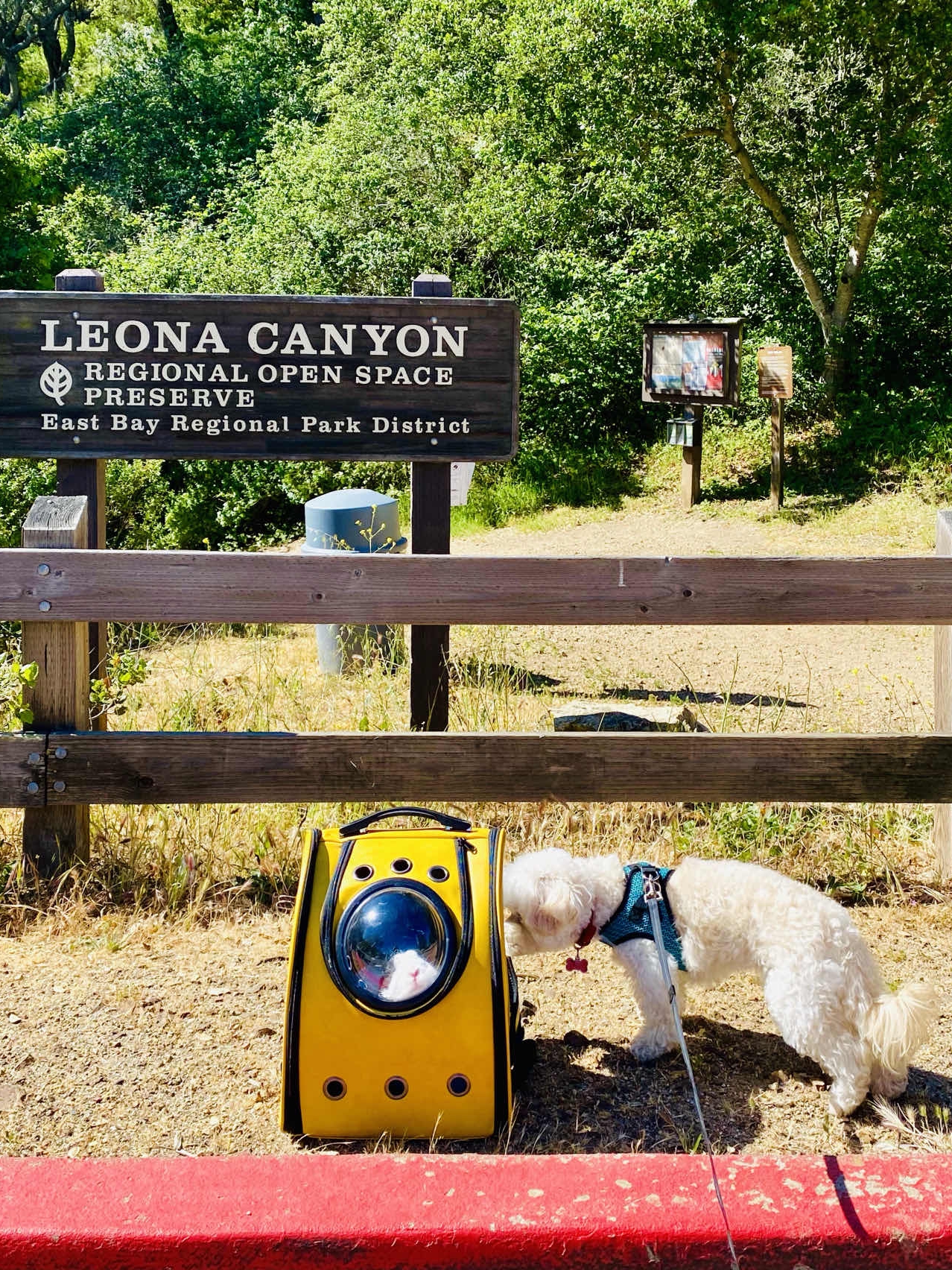 Taking my dog and bunny to this trail in Oakland!