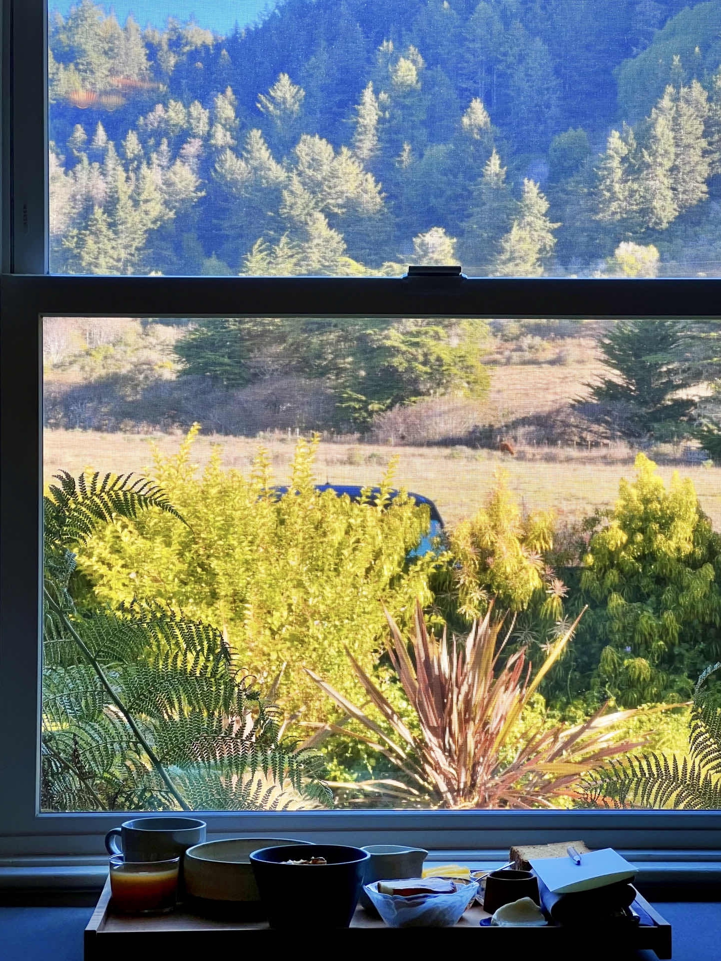 Bay Area Weekend｜Facing the sea, backed by mountains, Breakfast/Lunch 🌊