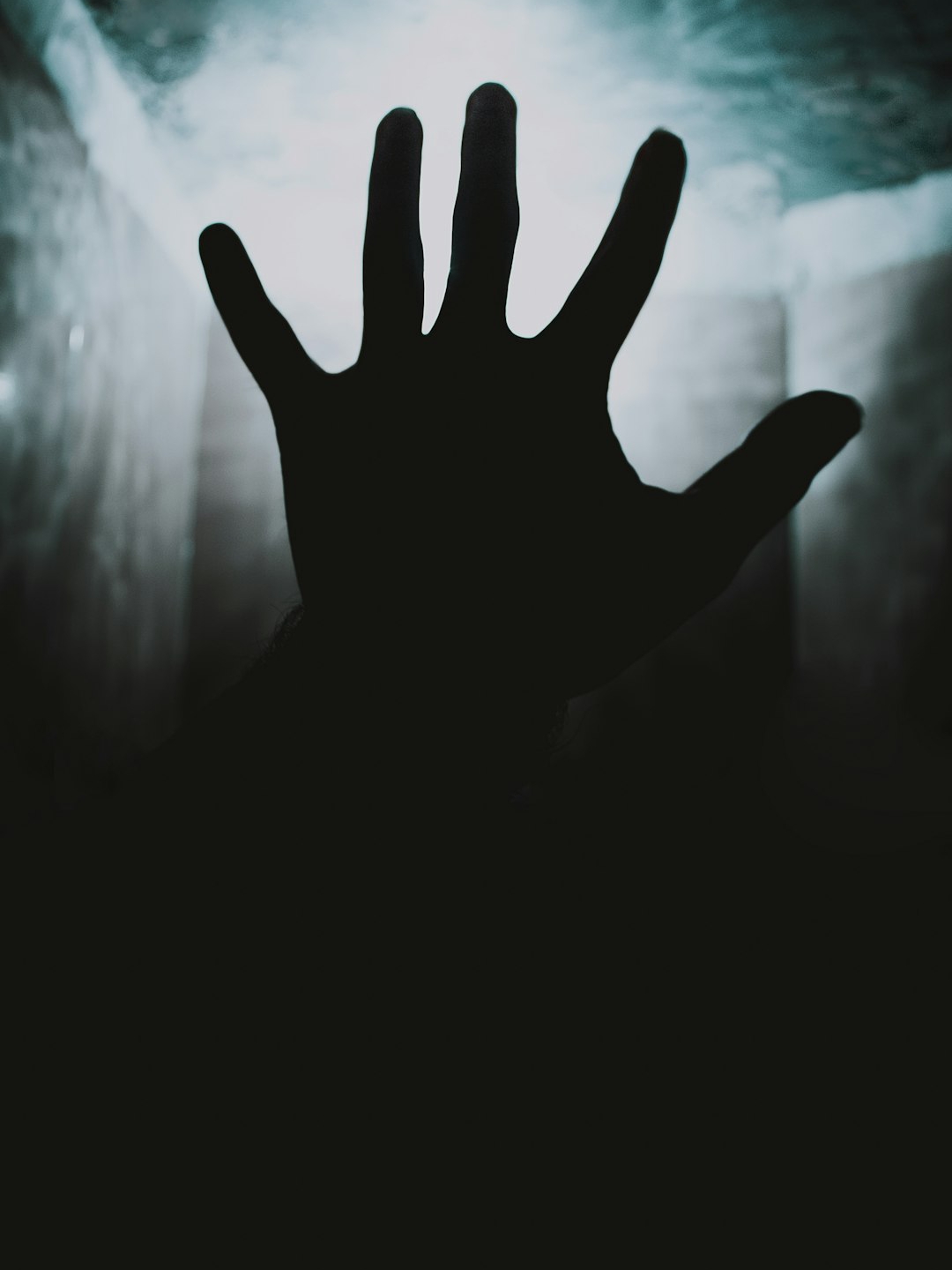 I Swapped Heads with a Serial Killer. Now I’m Losing Myself