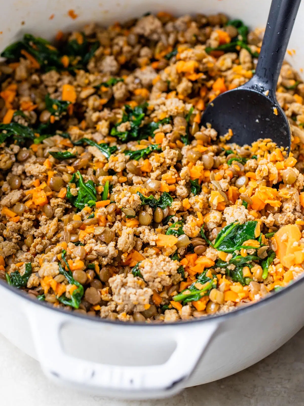 🐶 Dog-Friendly Homemade Meal Recipe 🍲
