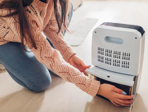 I Bought a Dehumidifier to Fix My Life. It Didn’t.