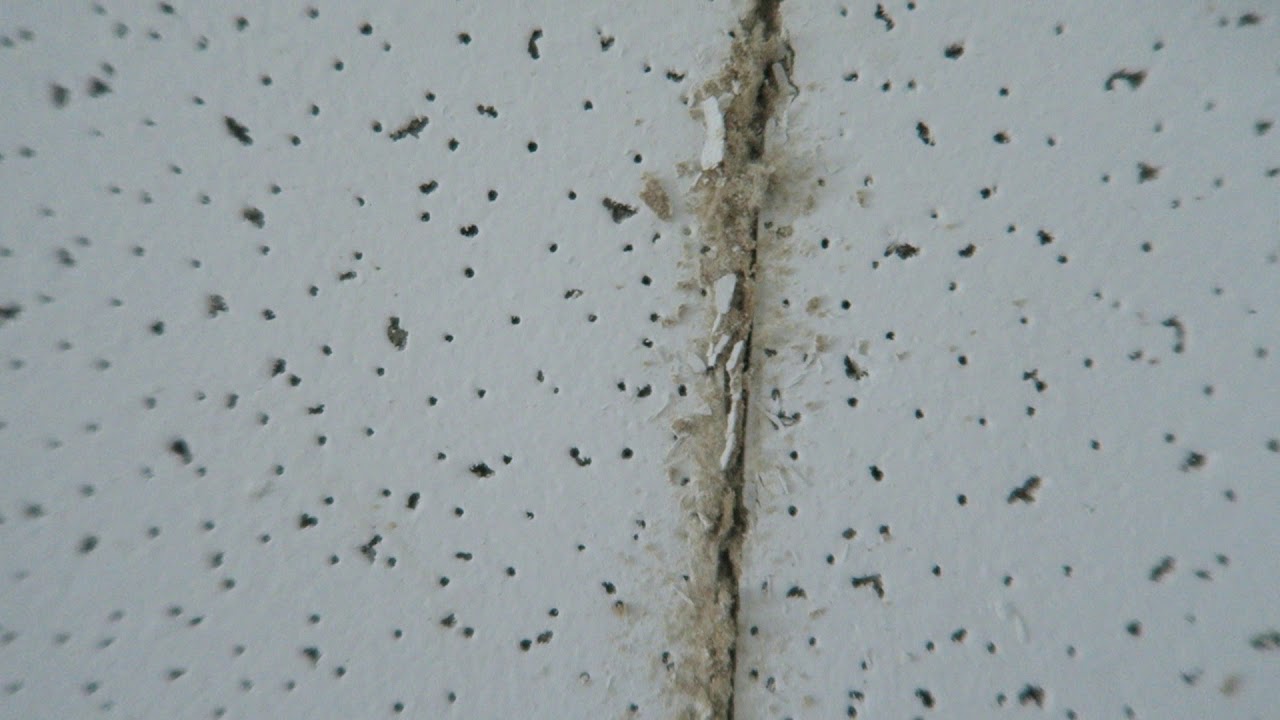 Ceiling Tile DIY: My Budget, My Blood, My Regret