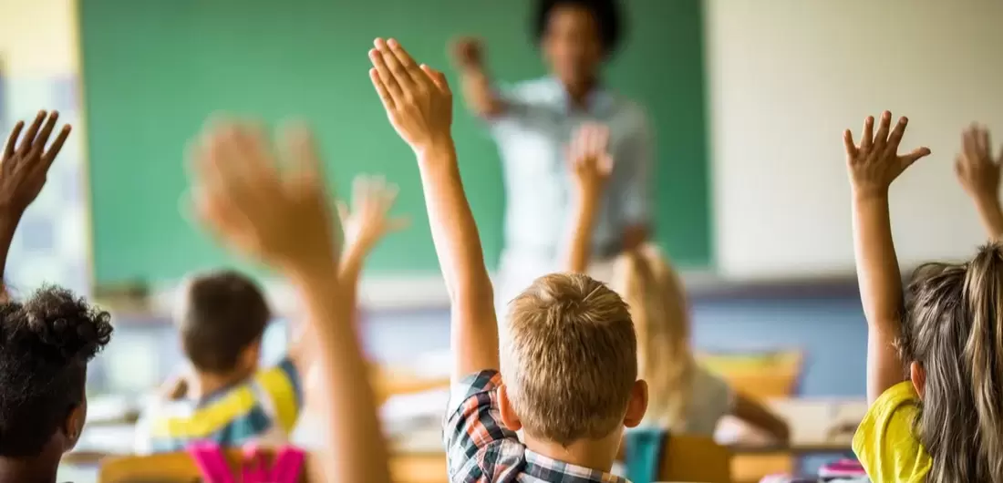 Why Are Students So Shy to Ask for Help?