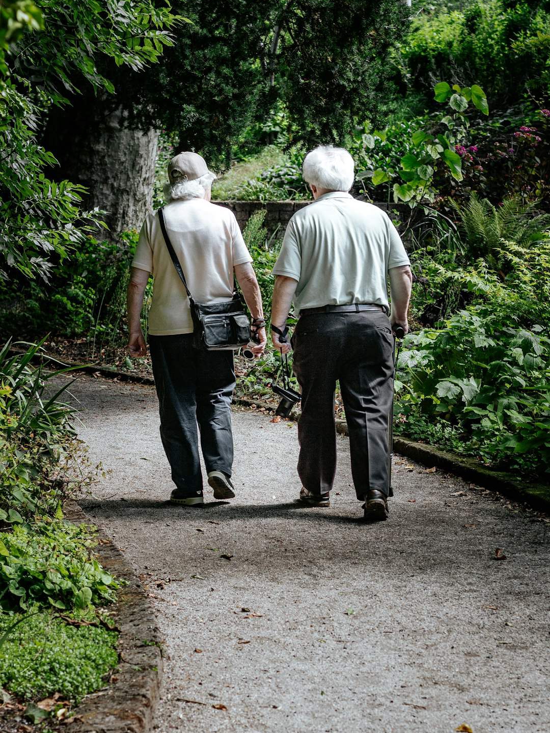 Did You Know Dementia Is Preventable?