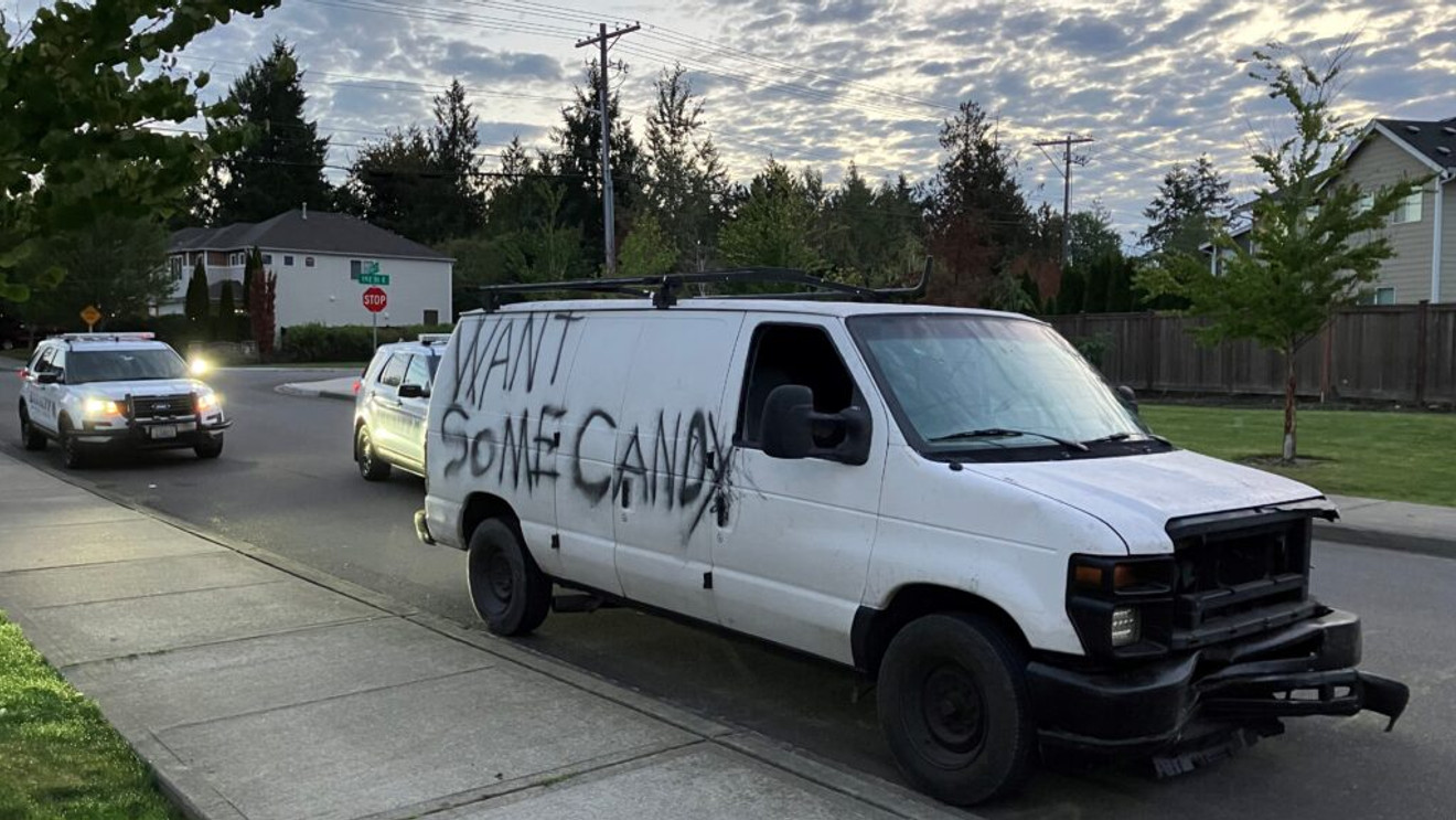 Why I Always Teach My Kids to Avoid White Vans