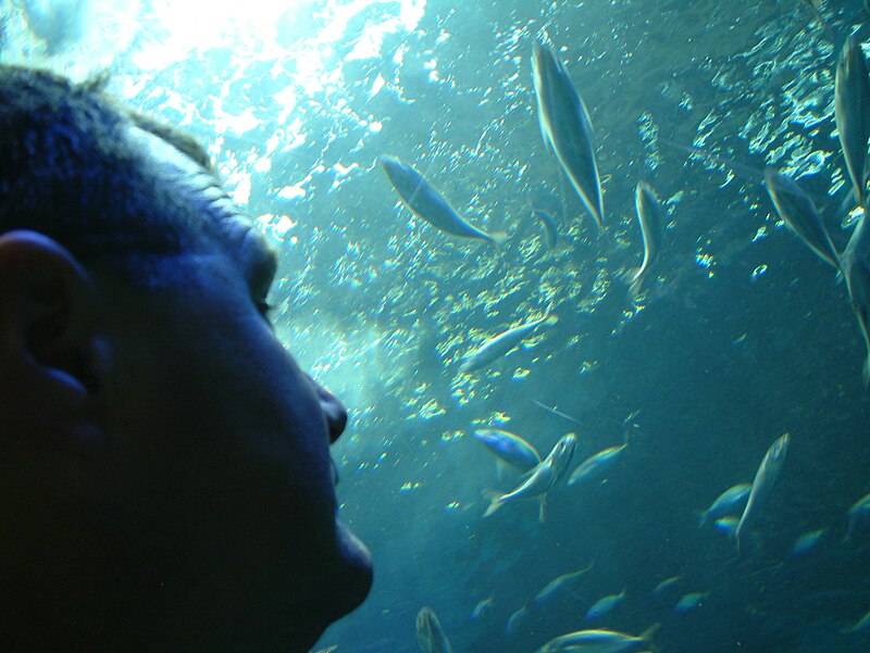 The Odd Meditation Trick That Clears My Mind Instantly