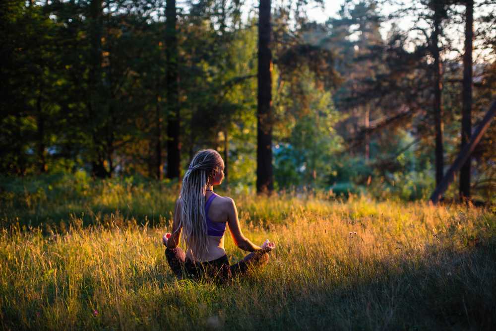 5 Daily Habits That Transformed My Life After Monastic Meditation