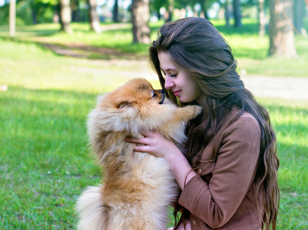 Unexpected Furry Therapist at the Park