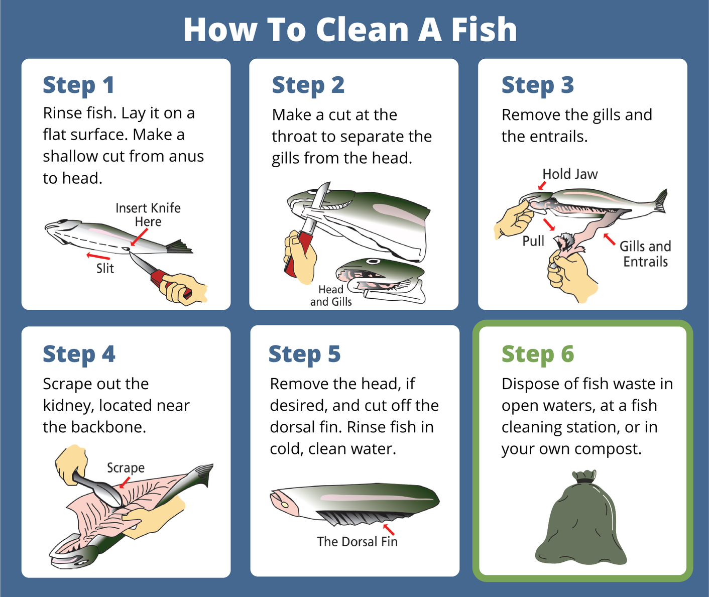 Fishing buddies, Cleaning a Fish is Easier Than You Think!