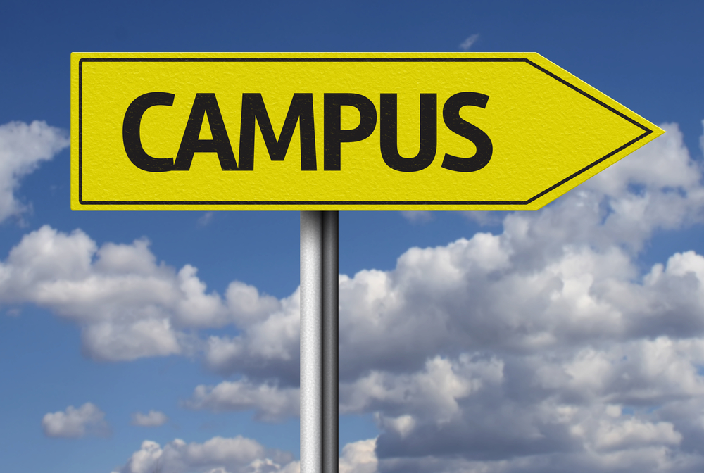 Surviving Your First College Semester: My Wild Ride