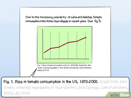 Mastering Graph Citations: A Scholar’s Secret Weapon