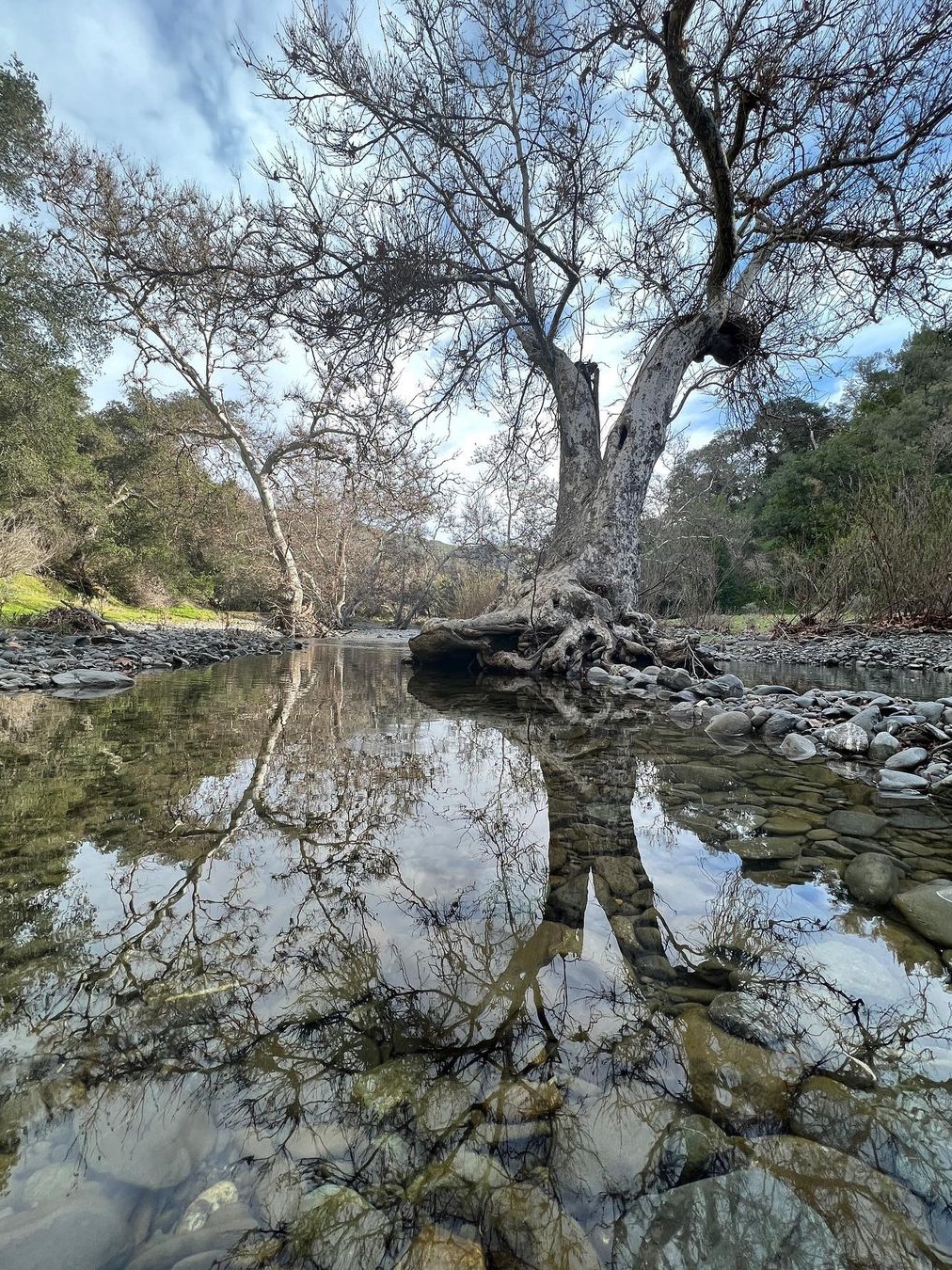 Sunol's Little Yosemite Hike: Scenic Beauty Near Alameda Creek
