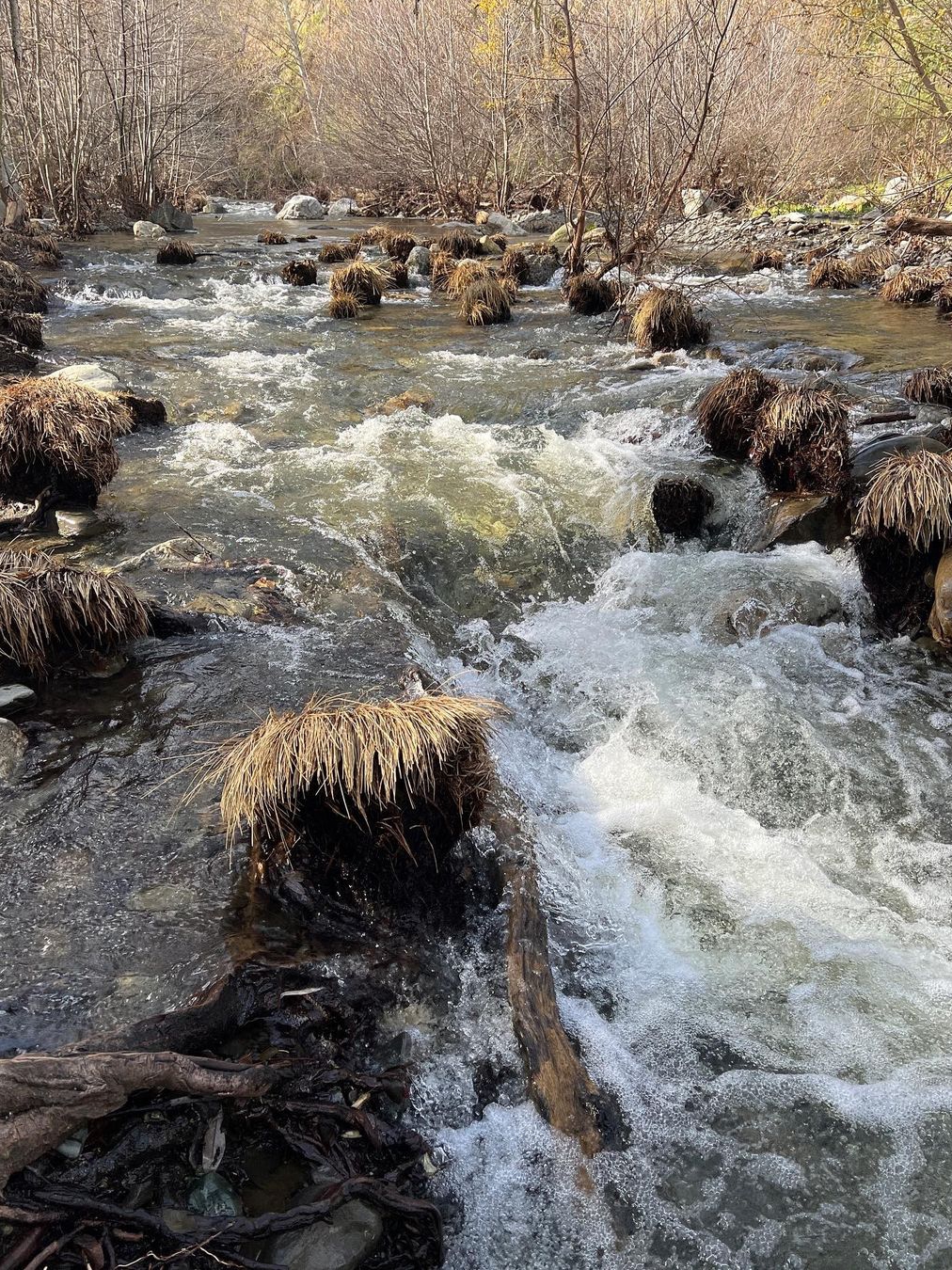 Sunol's Little Yosemite Hike: Scenic Beauty Near Alameda Creek