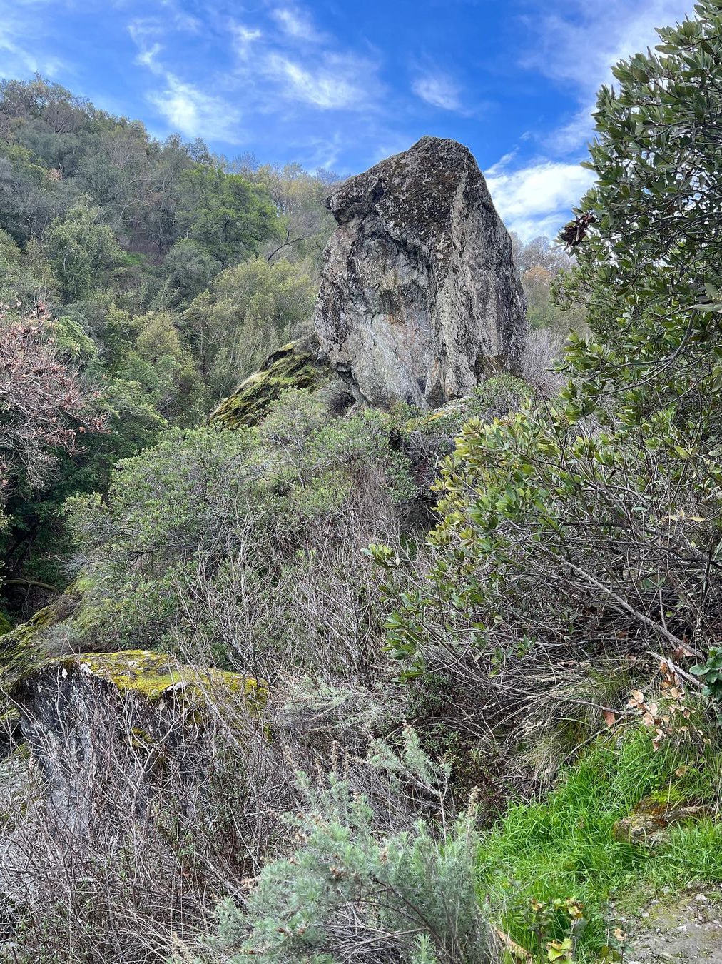 Sunol's Little Yosemite Hike: Scenic Beauty Near Alameda Creek
