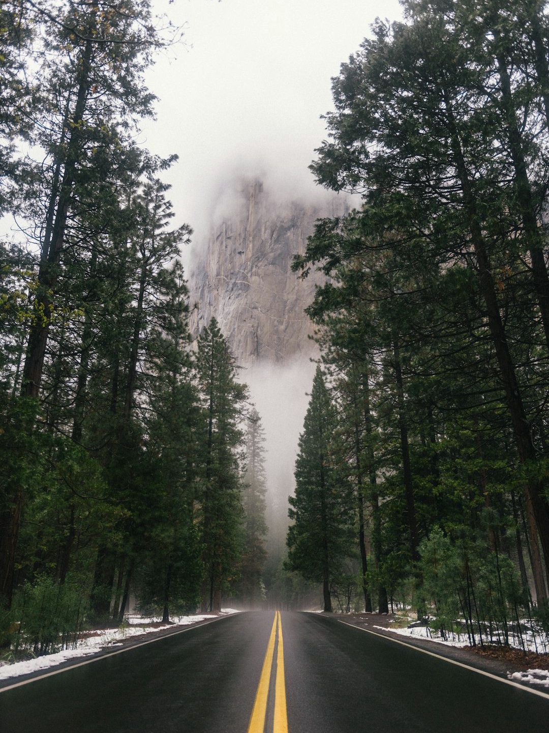 Learning the Hard Way: My Wild Ride with a Friend