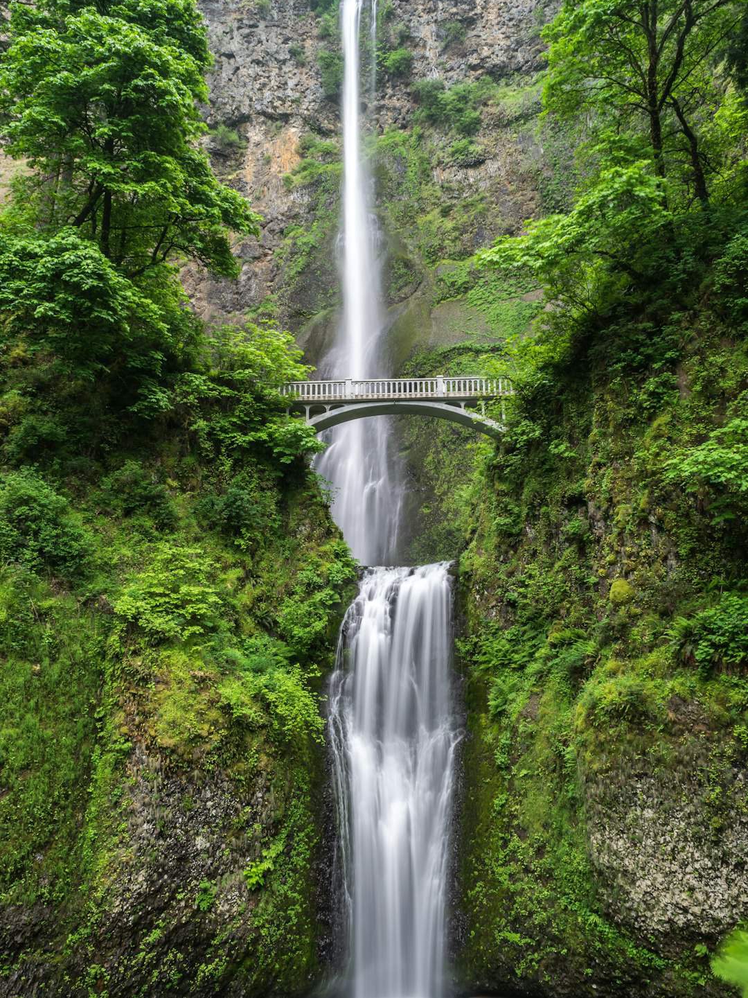 The Power of 'Sorry' and the Path Through Suffering