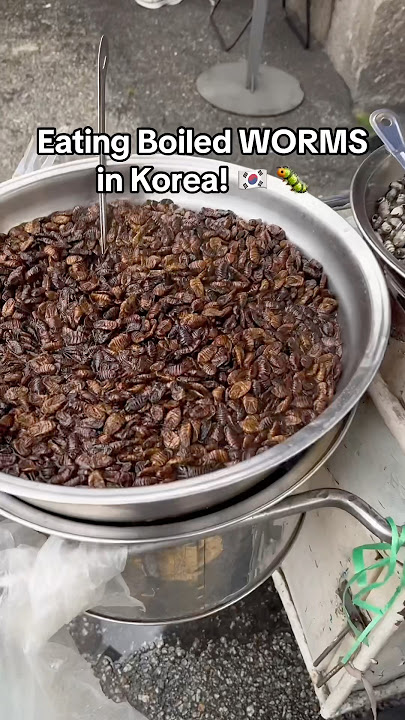 Worm Eating Challenge like a real Korean Hero!