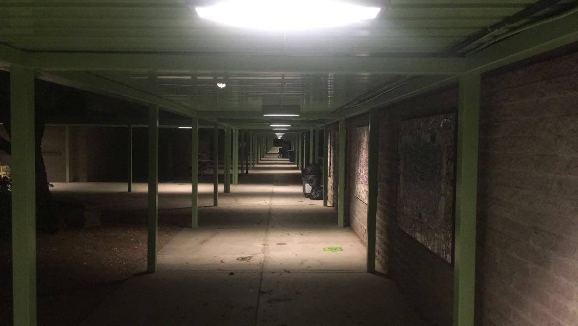 Surviving School Was the Only Goal Left