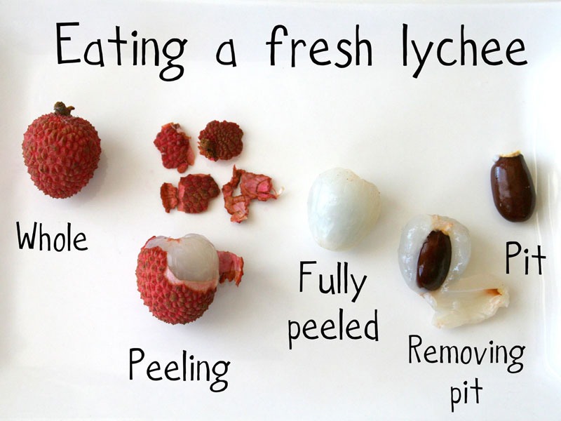 Useful Tips for Lychee