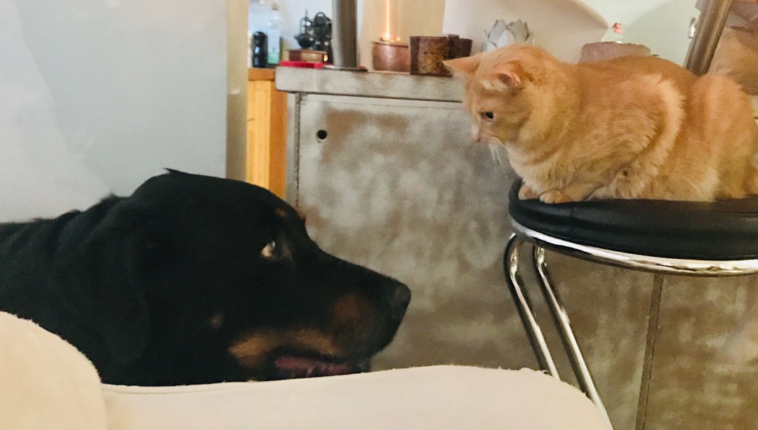 How I Learned to Say Sorry to My Best Bro