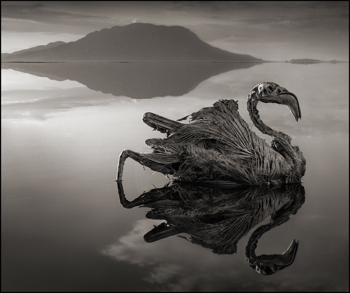 The Lake That Freezes Life Mid-Scream