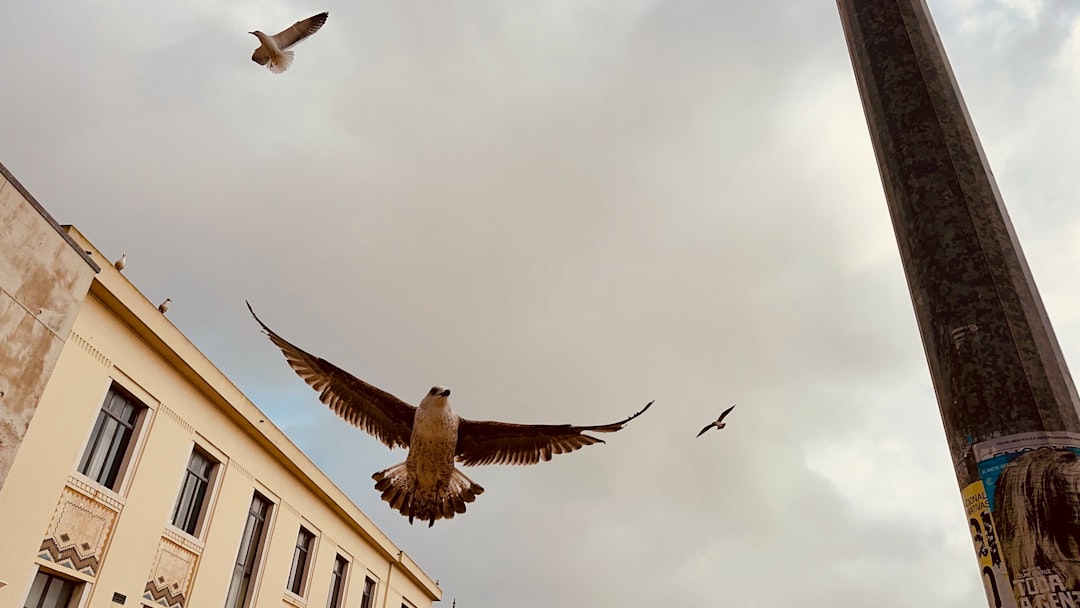 Is My Boss Helping or Hovering? The Micromanager Dilemma