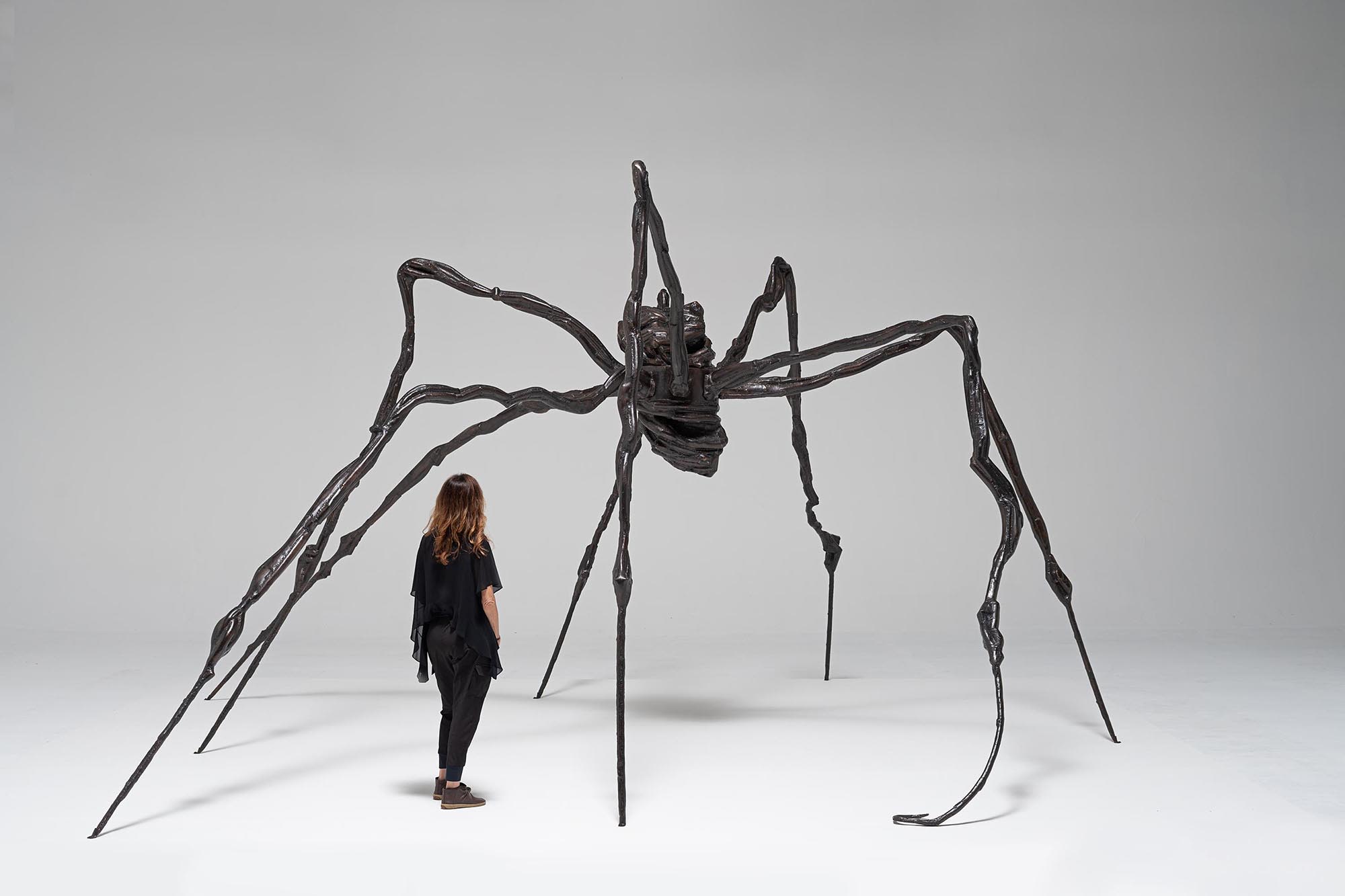 When Spiders Outshine Billionaires and Burning Houses Break the Bank in New York