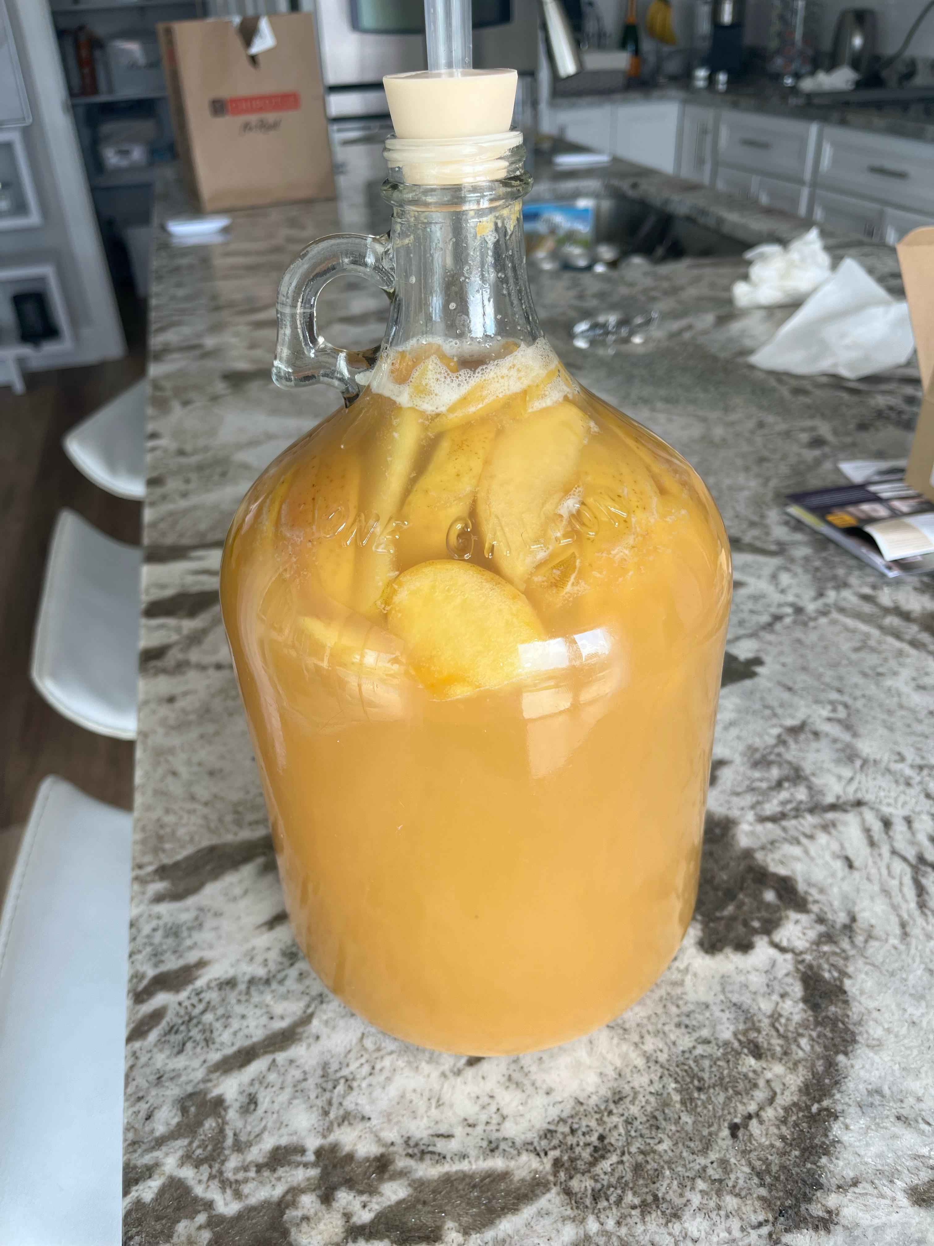 Mead Making at Home: Ancient Drink, Modern Fun