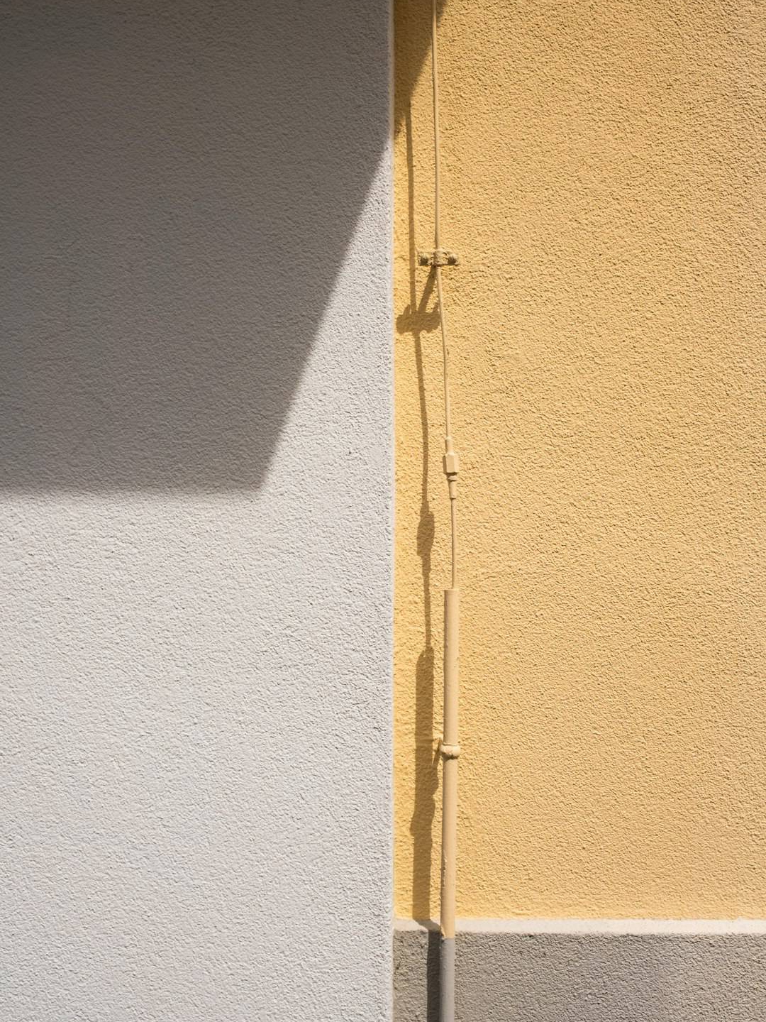 Ever Tried Measuring Your Height With a Dollar Bill? Here’s Why I Did