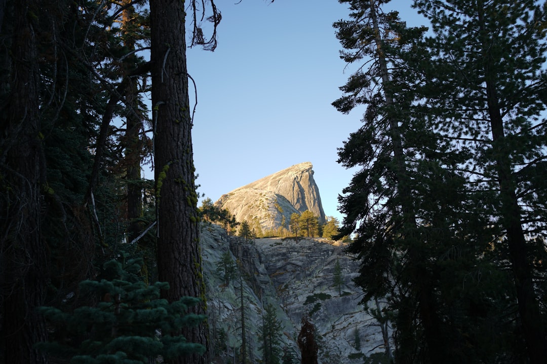 5 Essential Tips for an Unforgettable Yosemite Valley Adventure