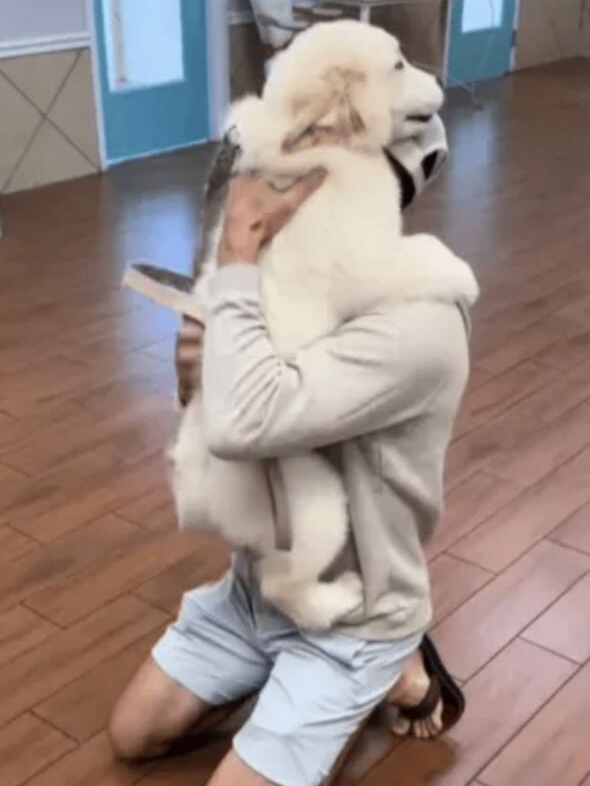 Puppy’s Daycare Reunion Is Pure Joy