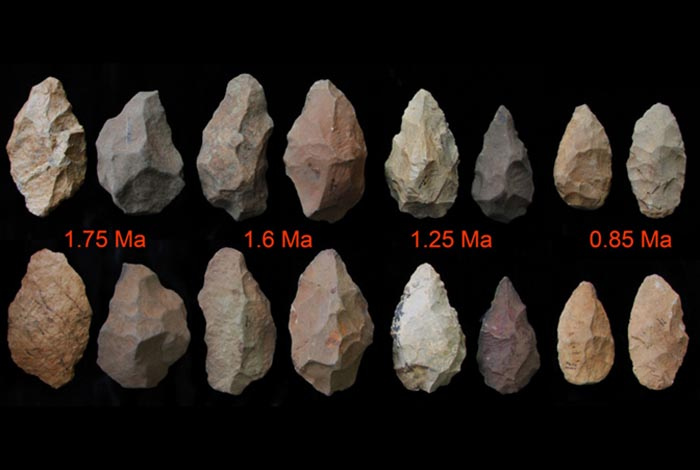 Is Your Rock a Prehistoric Tool? Discover the Secrets!