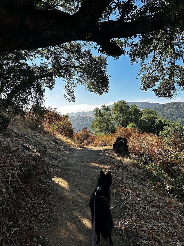 The San Francisco Peninsula: Remarkable, Diverse and Interesting