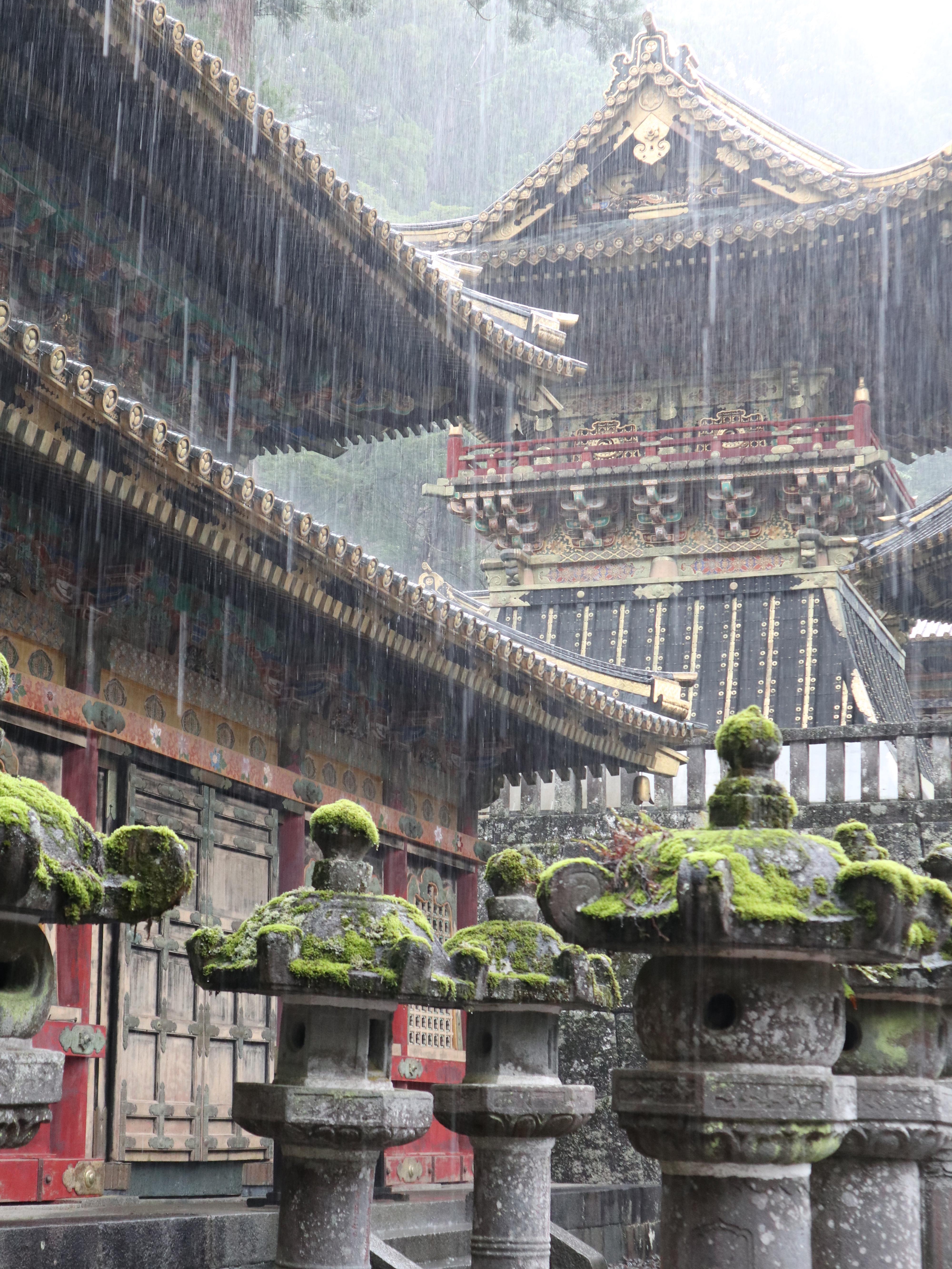 Rain Soaked My Plans—And My Mood