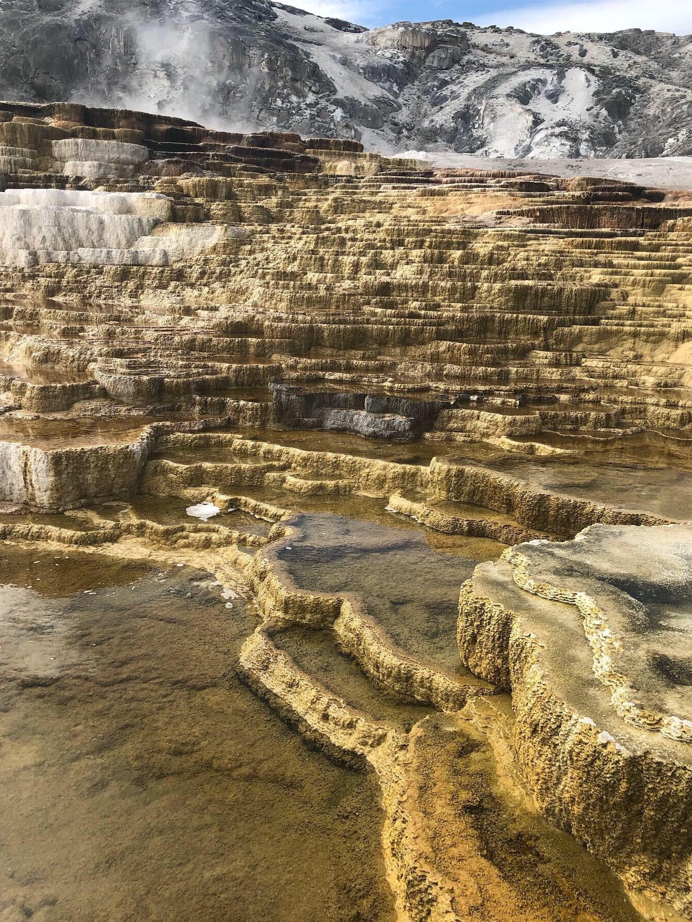 Yellowstone Was Huge. I Felt Small.