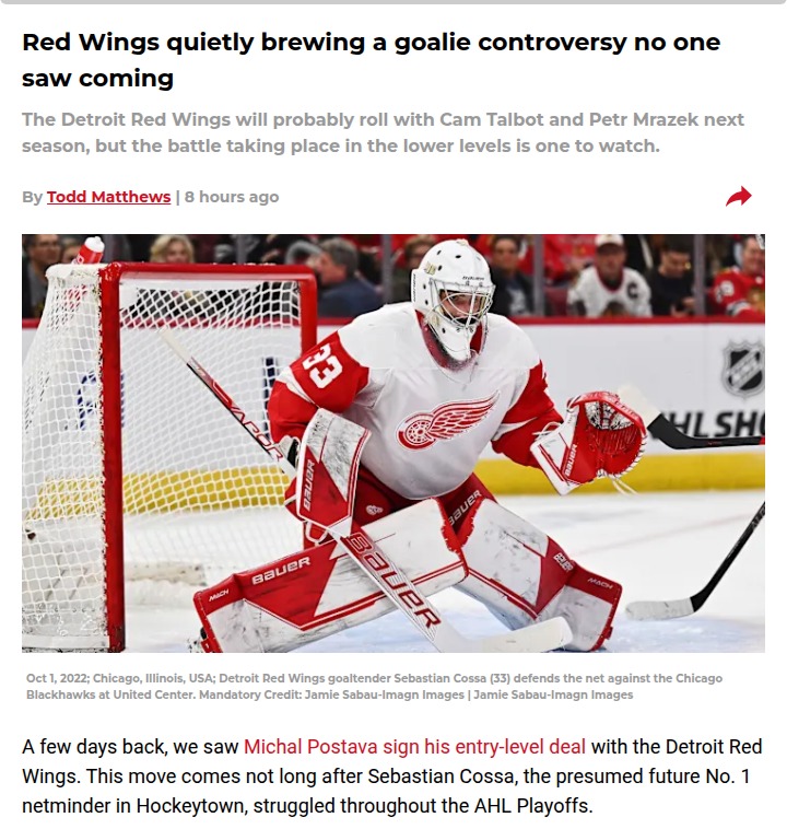 Wings’ Crease: Cossa or Postava Next Up?