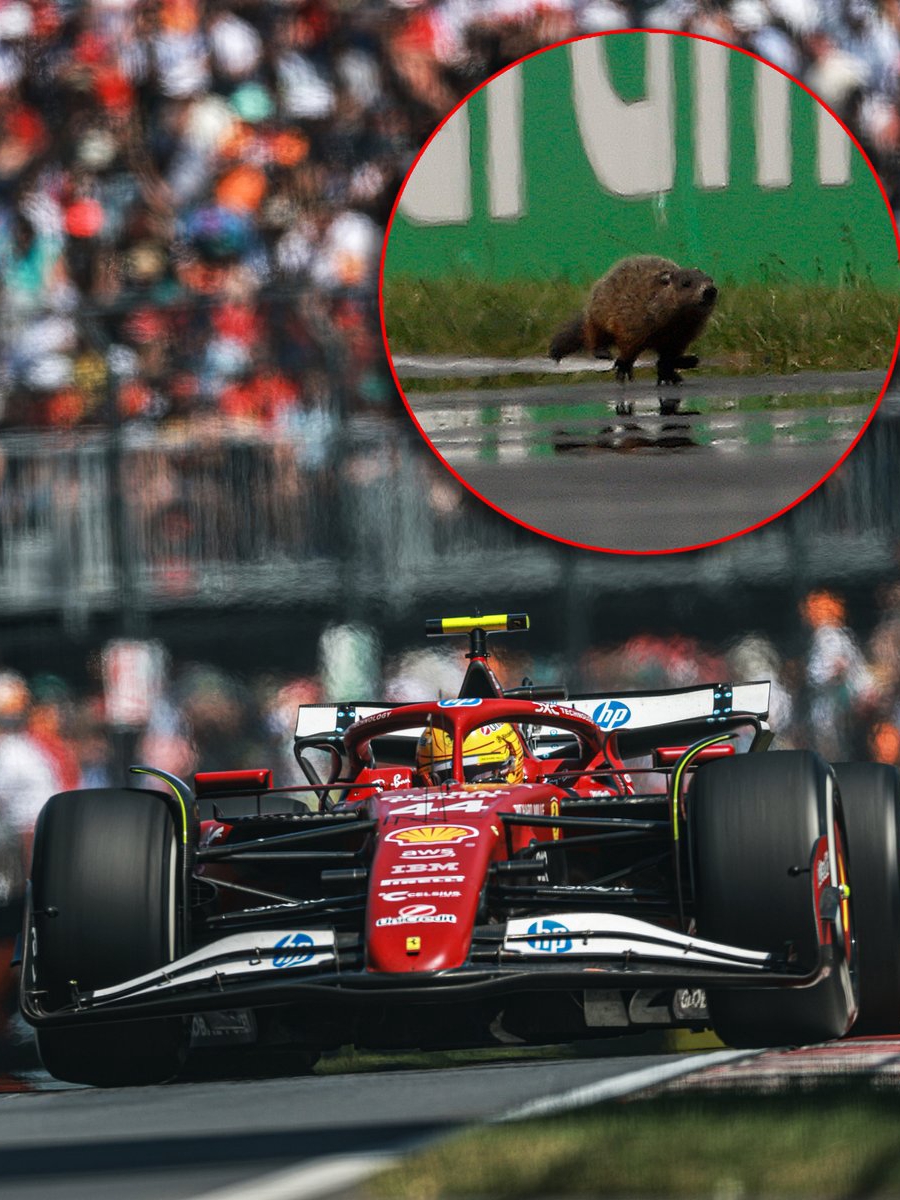 Hamilton vs. Groundhog: Unbelievable GP Twist
