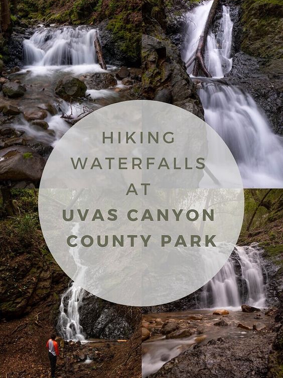 🌲 Exploring Uvas Canyon County Park 🌲