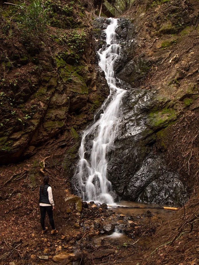 🌲 Exploring Uvas Canyon County Park 🌲