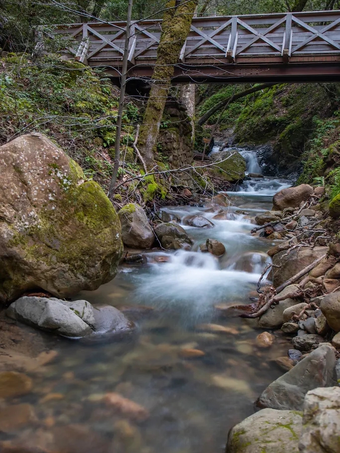 🌲 Exploring Uvas Canyon County Park 🌲