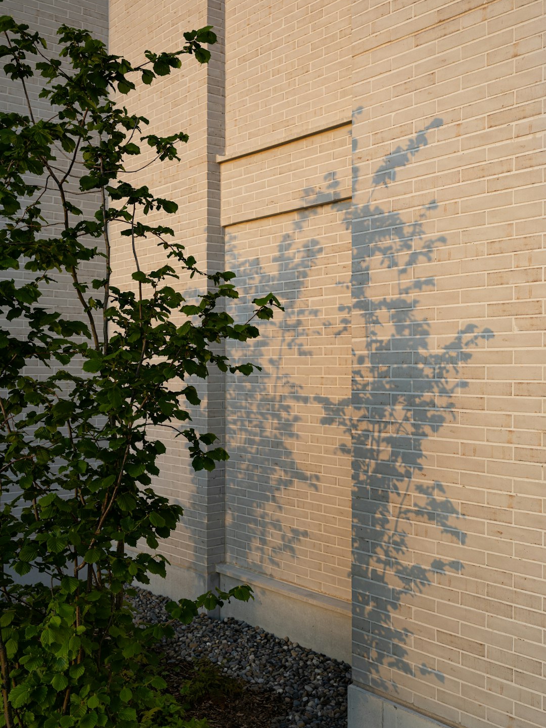 From Backyard Gatherings to Global Art Embassies: The Mendes Wood DM Mosaic