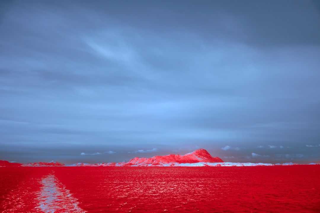Crimson Myths, Resilient Trees, and Dreamworlds: Small Galleries Rewrite the Script