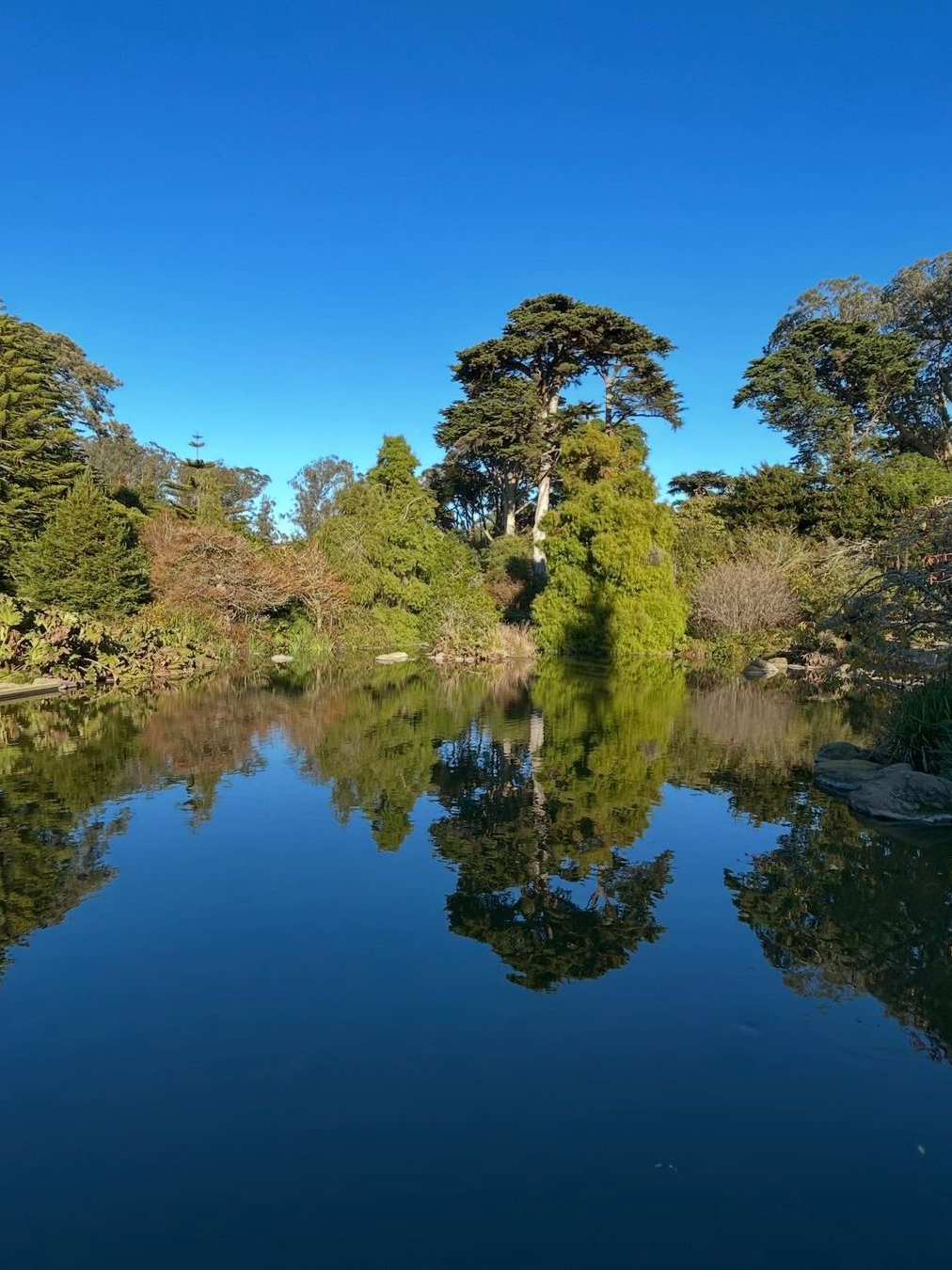 Winter Walks at San Francisco Botanical Gardens in Golden Gate Park