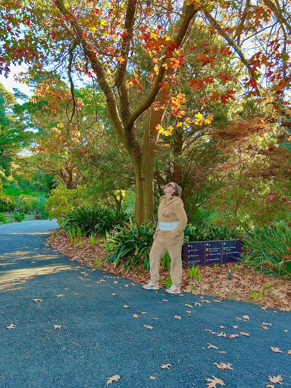 Winter Walks at San Francisco Botanical Gardens in Golden Gate Park