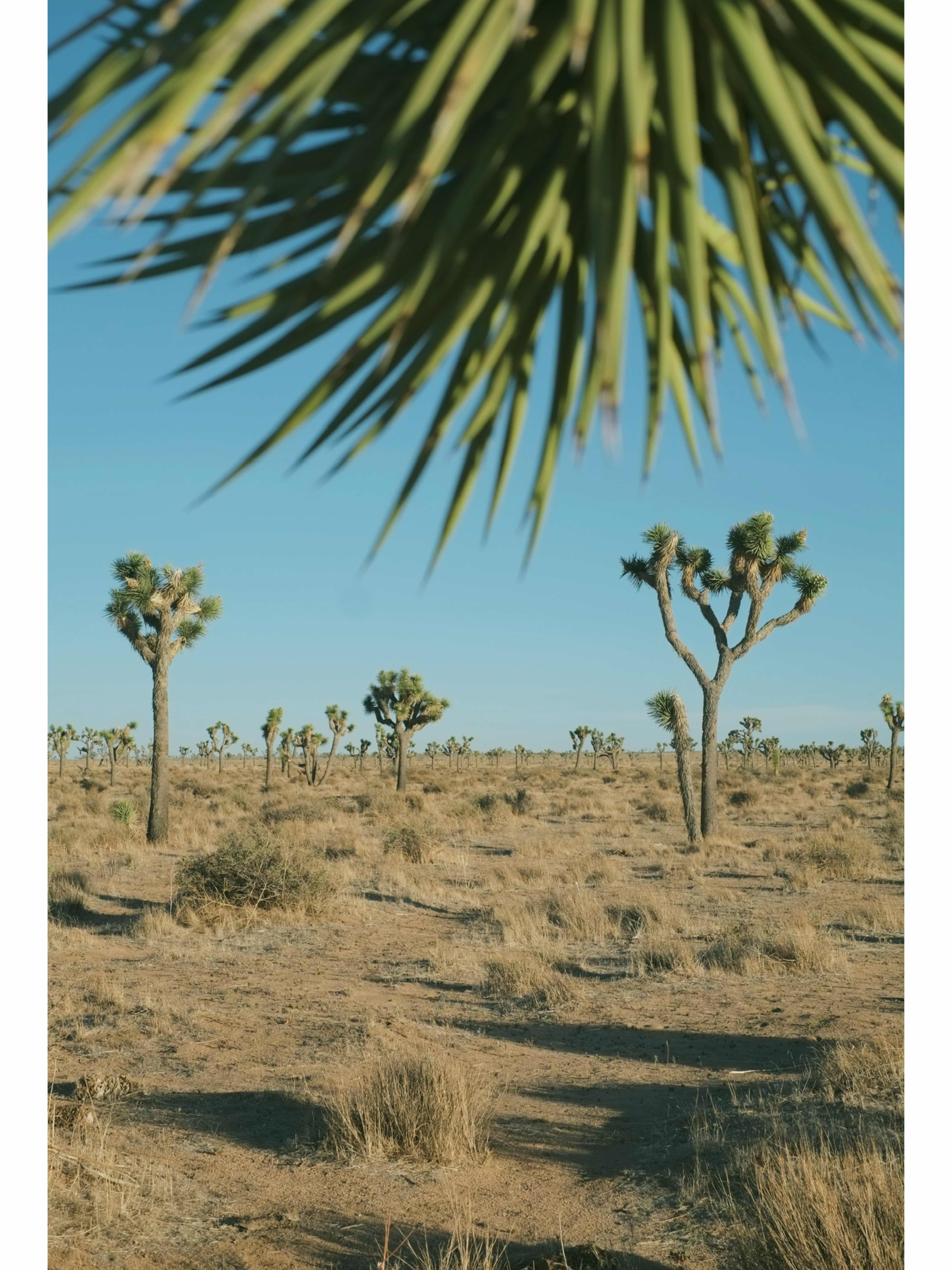 miles of emptiness