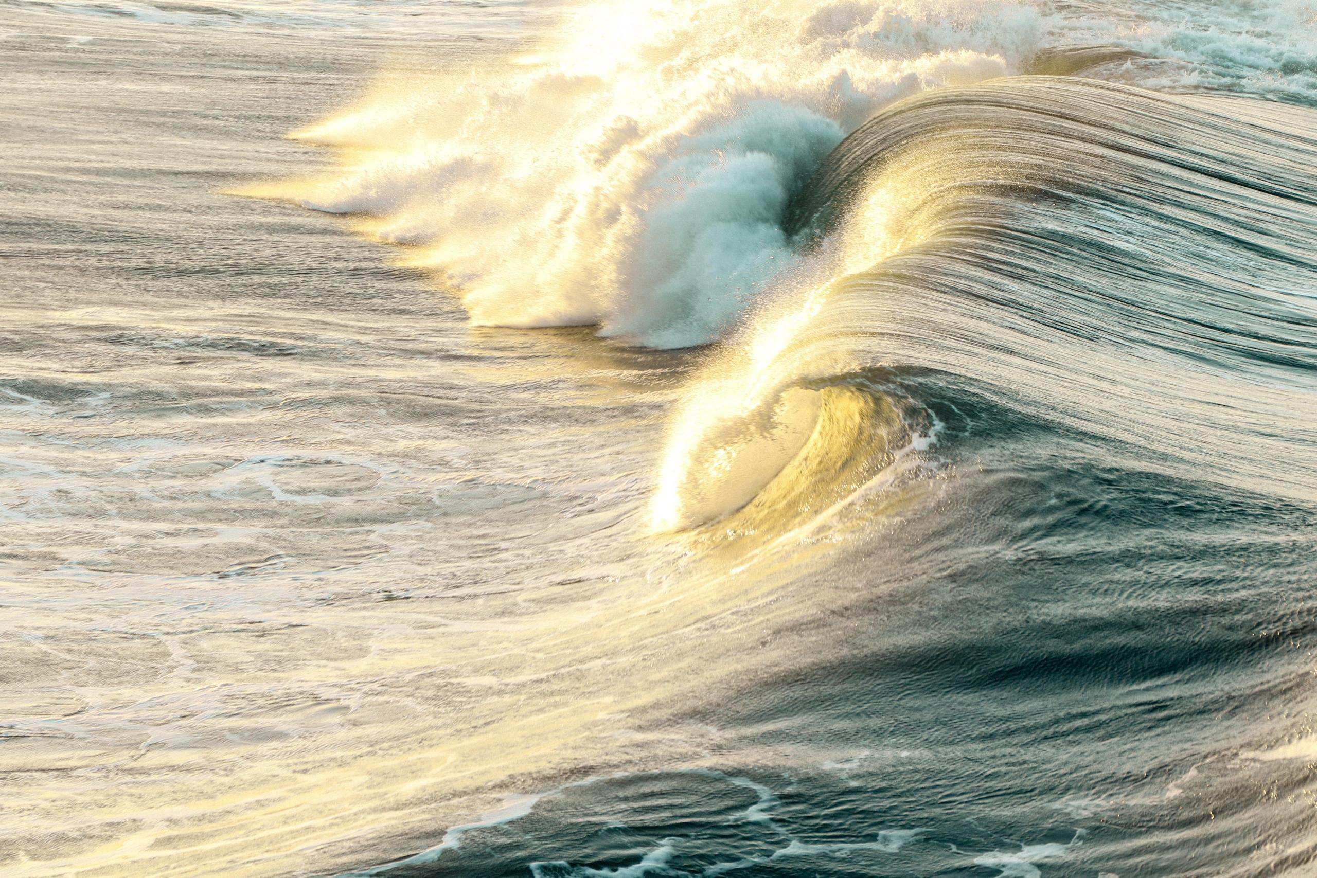 Torn Between Ocean Waves and Courtrooms