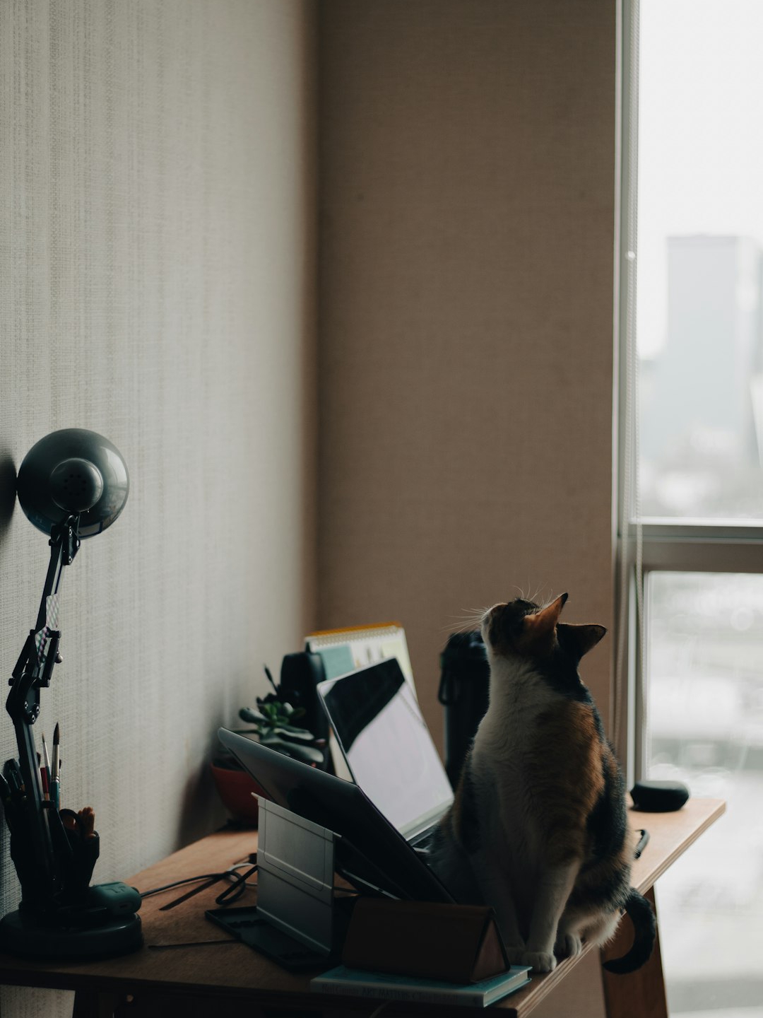 Is It Wrong to Want More Than Just a Paycheck?