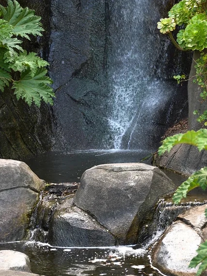 Golden Gate Park Day Trip – San Francisco