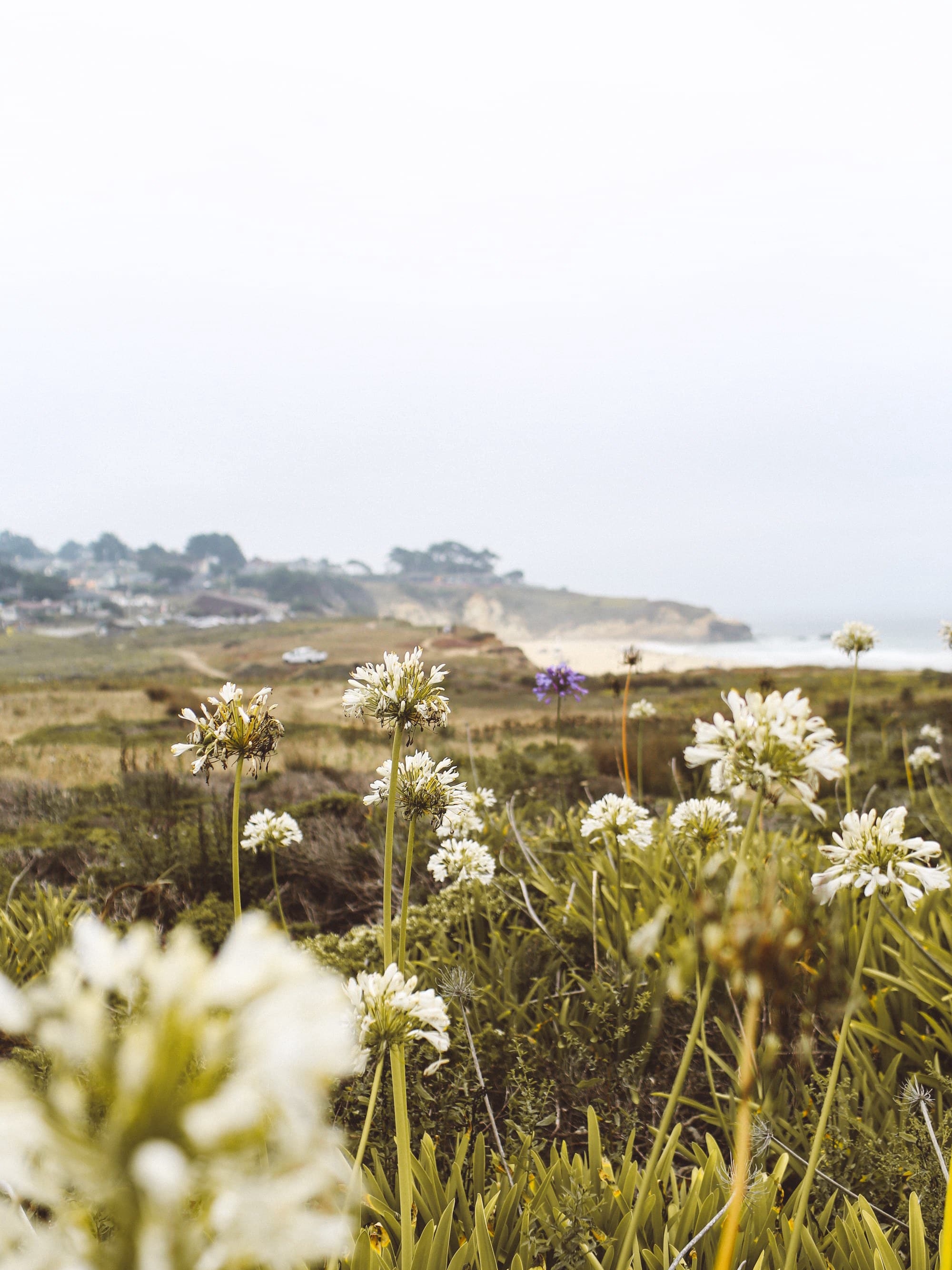 A Weekend Itinerary in Half Boon Bay!