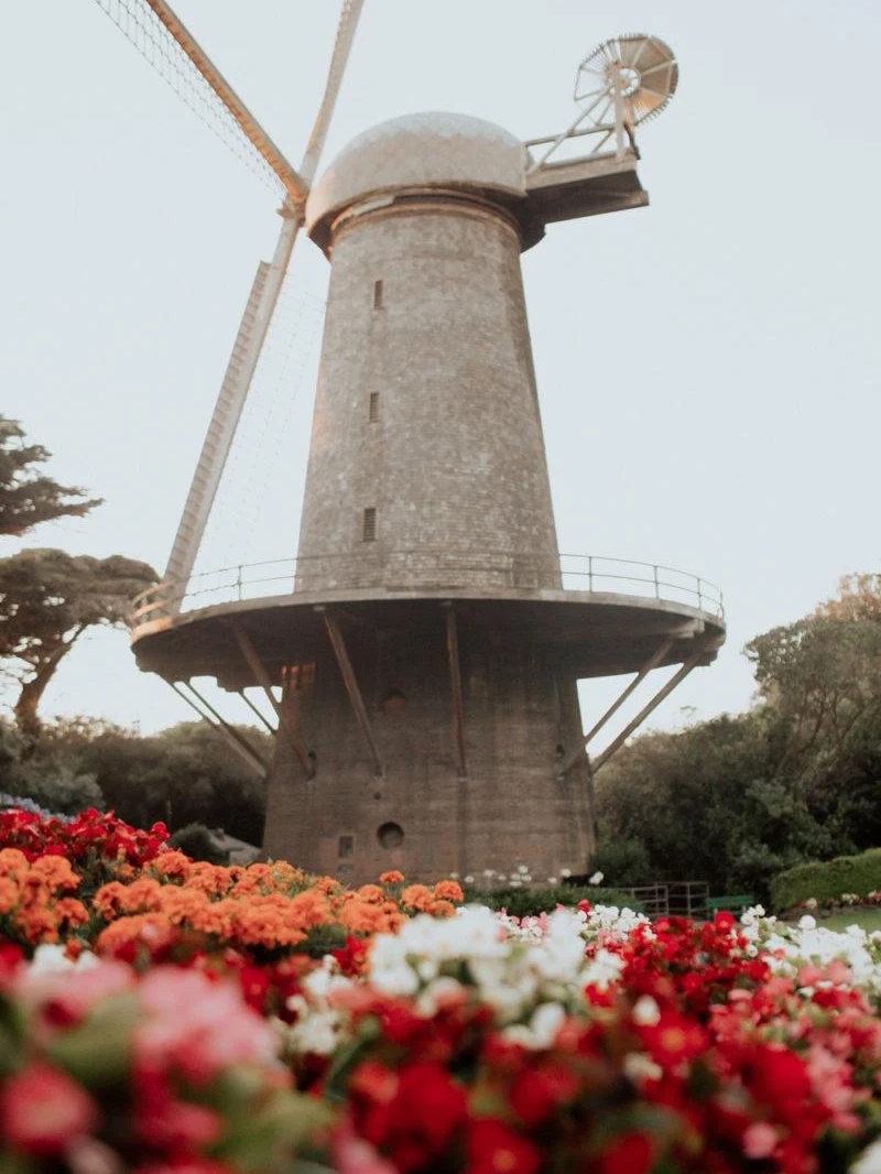 Golden Gate Park Map: Find Hidden Gems + Top Things To Do In Golden Gate Park